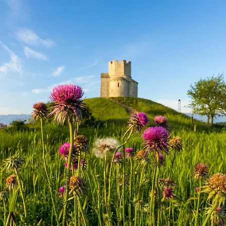 House Laguna Ii Appartement *